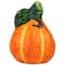 Fall Harvest Ceramic Pumpkins Decoration Set